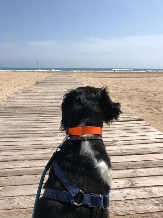 Hugo Beach Hotel & Apartments Гандия Экстерьер фото